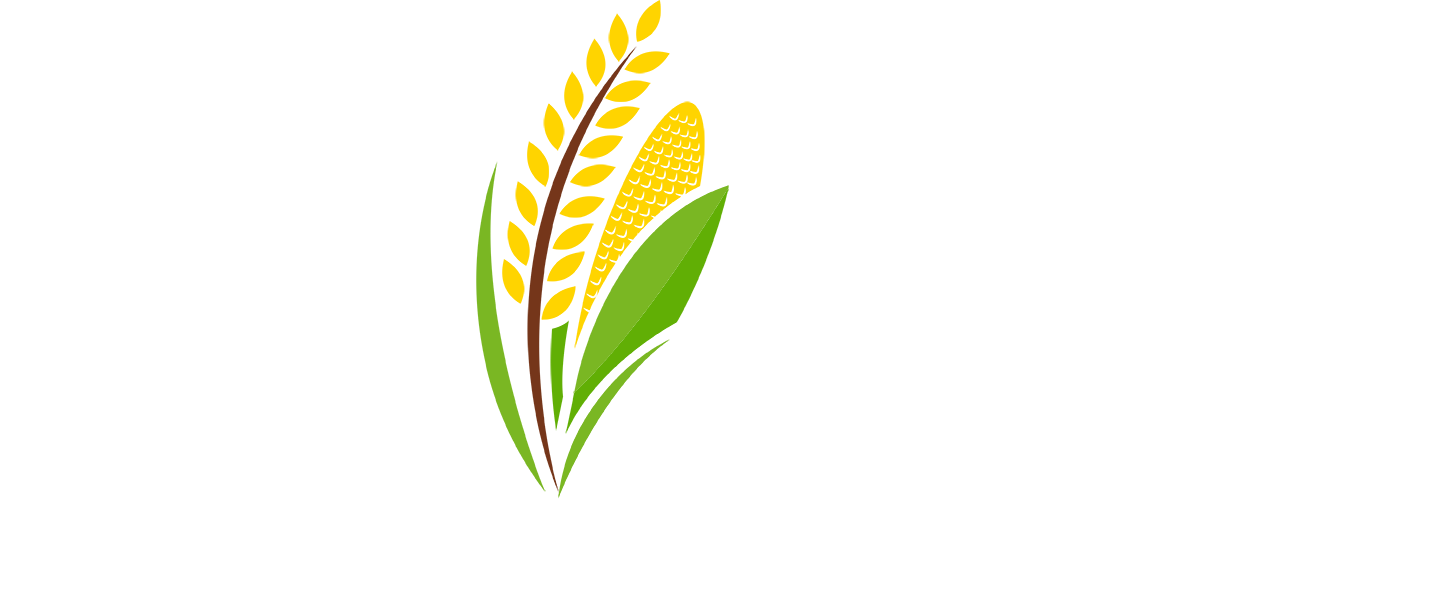 Revive-Logo-Design-Final-white-Logo