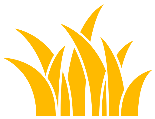 napier-01