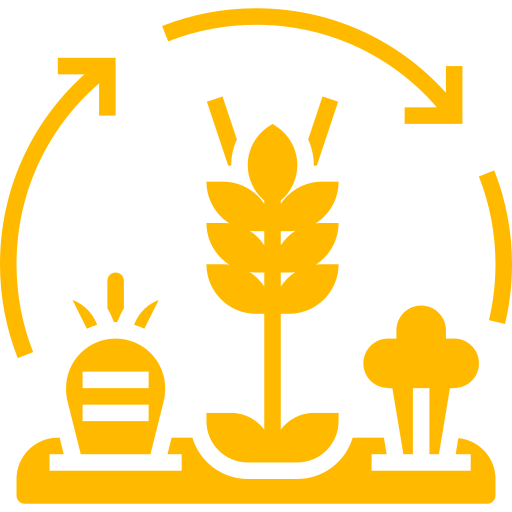 plant-01